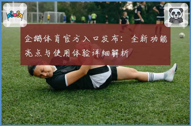 企鹅体育官方入口发布：全新功能亮点与使用体验详细解析