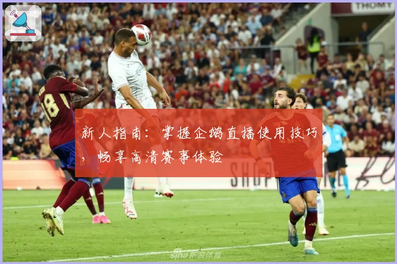 新人指南：掌握企鹅直播使用技巧，畅享高清赛事体验