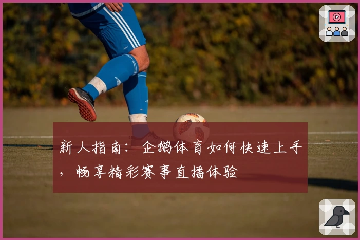 新人指南：企鹅体育如何快速上手，畅享精彩赛事直播体验