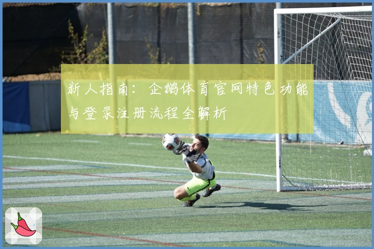 新人指南:企鹅体育官网特色功能与登录注册流程全解析