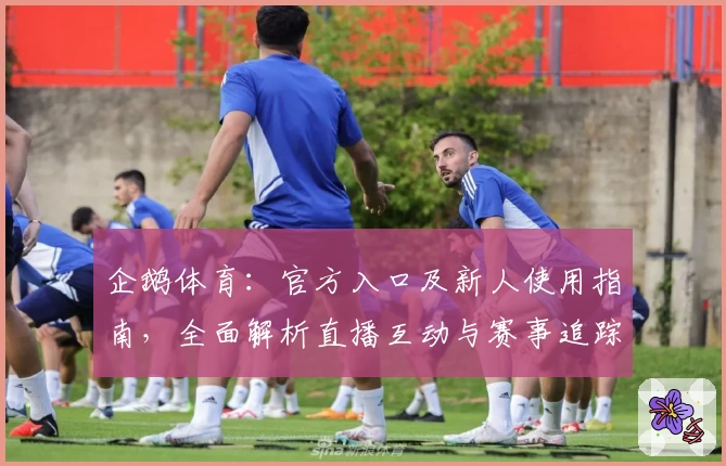 企鹅体育：官方入口及新人使用指南，全面解析直播互动与赛事追踪功能亮点