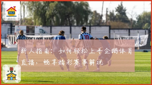 新人指南：如何轻松上手企鹅体育直播，畅享精彩赛事解说