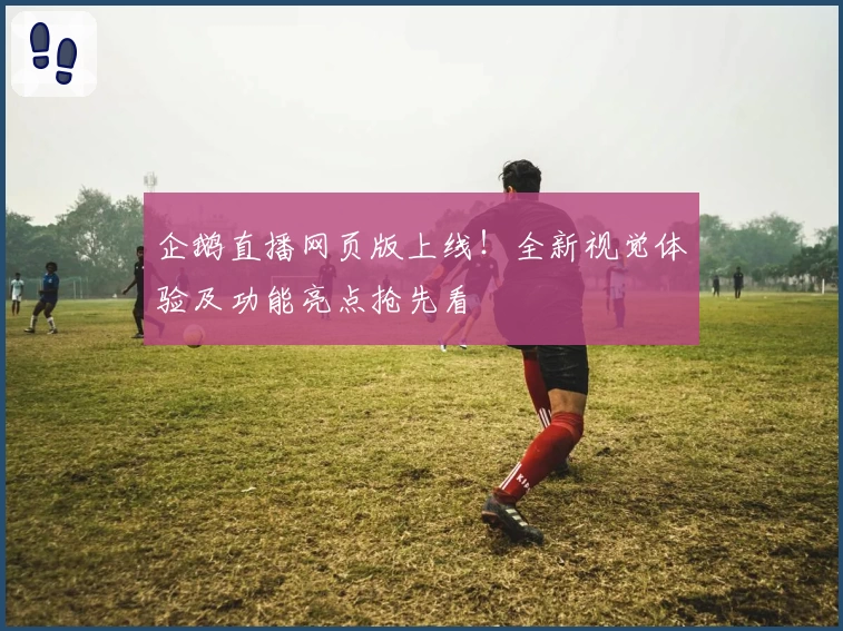 企鹅直播网页版上线!全新视觉体验及功能亮点抢先看