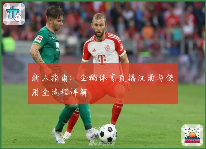 新人指南：企鹅体育直播注册与使用全流程详解