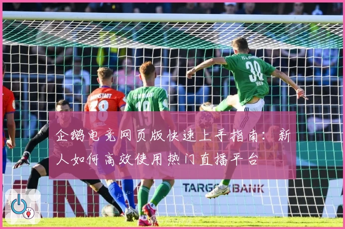 企鹅电竞网页版快速上手指南：新人如何高效使用热门直播平台