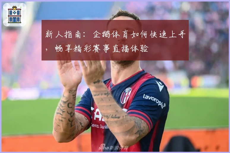 新人指南：企鹅体育如何快速上手，畅享精彩赛事直播体验